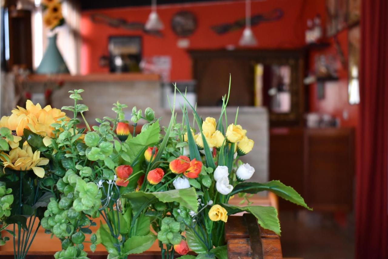 Mony'S Island B&B Alghero Buitenkant foto